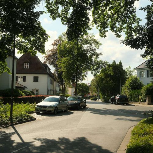 Ruhige Wohnstraße mit Einfamilienhäusern, Bäumen und parkenden Autos